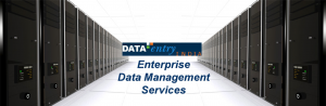 Data Entry / Keyboarding, Data Enrichment, Data Cleansing, Data Scrubbing